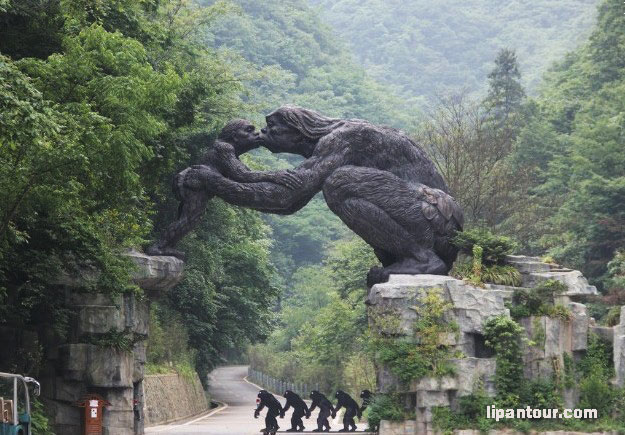 宜昌、三峽大壩、昭君故里、大九湖、神農(nóng)架5日