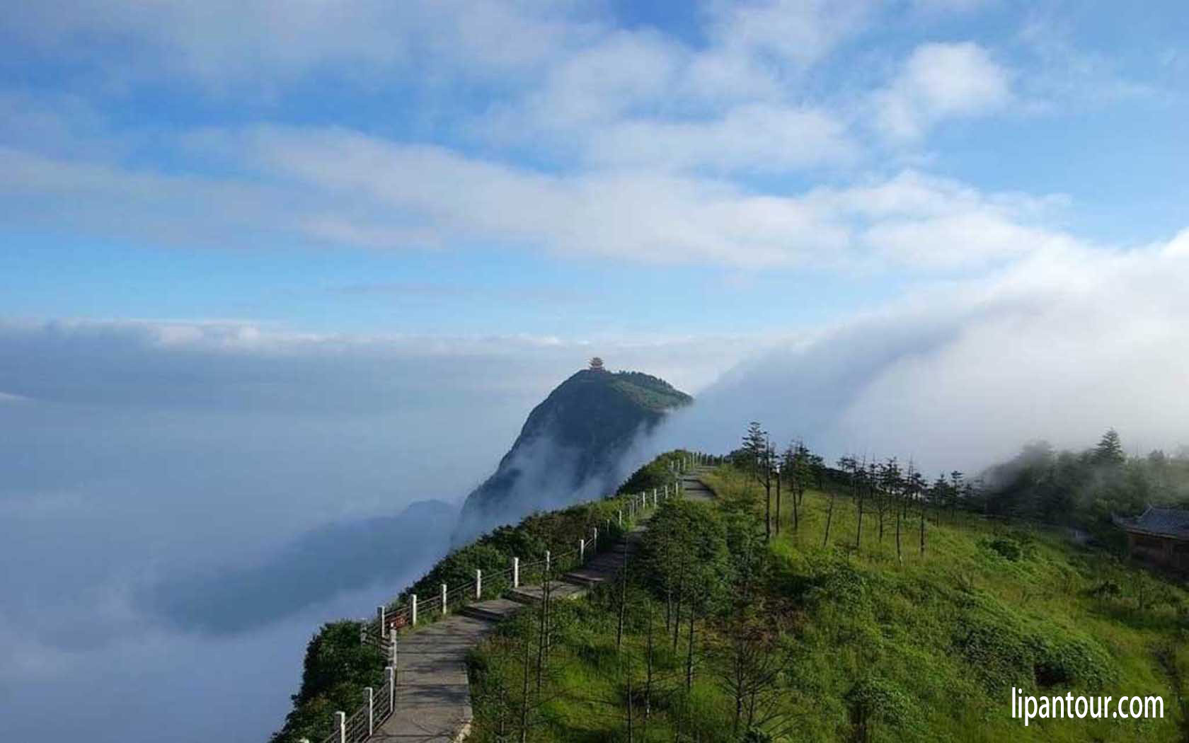 《九美全景》成都 九寨溝 黃龍 樂(lè)山 峨眉山8日游