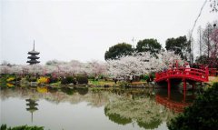 三四月不去這些地方，就辜負春天了！